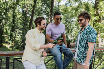 Wall Mural - Positive interracial friends in sunglasses toasting beer in summer park.