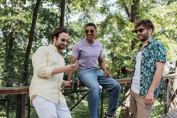 Wall Mural - Cheerful interracial men with beer using smartphone in summer park.