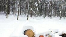 Snowy Woodpile Stands At The Edge Of The Forest In Heavy Snowfall,