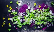  A Table Topped With Lots Of Green Plants And Purple Sand Next To Each Other On Top Of A Black Table Top Covered In Purple Sand.  Generative Ai