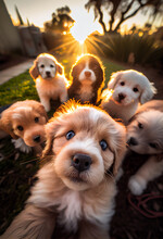 A pack of puppies take a selfie. AI Generated