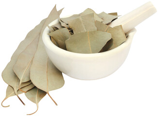 Sticker - Dry Eucalyptus leaves