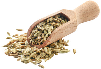 Sticker - Fennel seeds