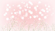 Pink background with white flowers.Small Gypsophila flower on peach background