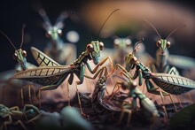 An Ultra-Detailed Praying Mantis Party With Close-Up Insects Eating And Socializing In Unreal Engine 5 With Stunning Depth Of Field And Colors! , Generative Ai