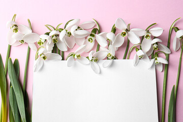 Poster - Beautiful snowdrops and paper card on pink background, flat lay. Space for text