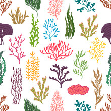 Underwater Seaweed Plants Seamless Pattern. Sea And Ocean Coral Reef Life Vector Background. Marine Water Plants, Color Algae Seaweeds Backdrop Of Kelp Or Laminaria, Gracilaria, Anemone And Codium