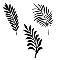  Tropical leaves vector illustration set of 3 realistic tropical leaf silhouettes black color shapes