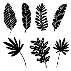  Tropical leaves vector illustration set of 7 realistic tropical leaf silhouettes black color shapes 
