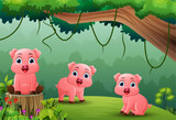 Fototapeta Pokój dzieciecy - Cartoon piglets in the jungle