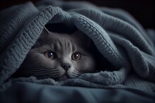 Cat Peeking Out Under Blanket Cinematic Movie Looking Away Viewer Blue Gray Colors Fear Schultz Watching Tv Cute Creatures Trough Night, Generative Ai