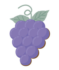 Wall Mural - grapes fruit icon