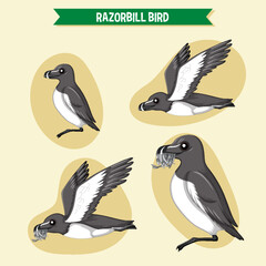 Wall Mural - razorbill birds cartoon character in different poses