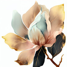Abstract Magnolia Flower, Delicate Botanical Floral Background