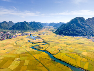 Panoramic view of Bac Son valley during the ripe rice season. View from the top of Na Lay mountain, Bac Son district, Lang Son province, Vietnam