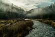 © Cavan Images - Scenic view of stream flowing by mountains in forest during foggy weather