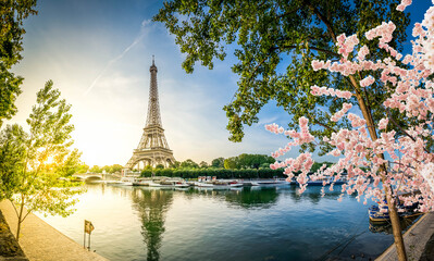 Wall Mural - eiffel tour over seine river