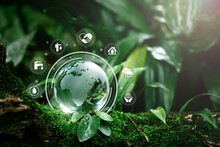 Globe Glass With Save Water Icons In Green Forest With Sunlight. Environment Day And Water Day.clean Renewable Energy, Environmental Protection Concept Of Protecting The Earth's Water Resources