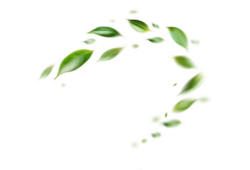 green floating leaves flying leaves green leaf dancing, air purifier atmosphere simple main picture.