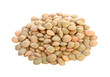 lentils isolated on  transparent png