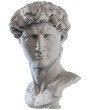 © colatudo - 3d rendering - David's head, a sculpture made by Michelangelo