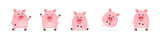 Fototapeta Fototapety na ścianę do pokoju dziecięcego - Cute cartoon pig set. Design of a farm animal character. Vector illustration