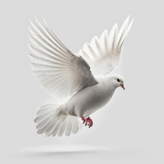 Fliegende Taube auf weißem Hintergrund (erstellt durch KI-Tool)