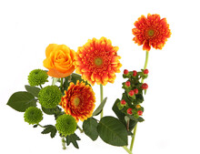 Gerberas, Roses And Green Chrysanthemum Isolated On White Background. Arrangement Of Orange Flowers And Leaves.