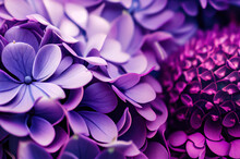 Closeup Purple Flowers