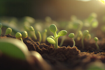 Soil with seedling sprouts created with generative AI