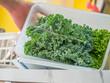 Closeup of fresh green curly kale leaves in plastic box on the counter in the kitchen for healthy and diet food.