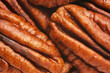Pecan walnut kernels close up macro