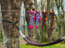 Colored Socks Hanging On The Clothesline