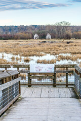 Wall Mural - Nisqually Wetlands Barns