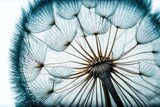 Fototapeta Dmuchawce - Close-up of a dandelion on a white background. Generative AI