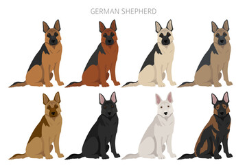 Wall Mural - German shepherd dog  in different poses and coat colors clipart