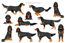 Gordon Setter Clipart. Different Poses, Coat Colors Set