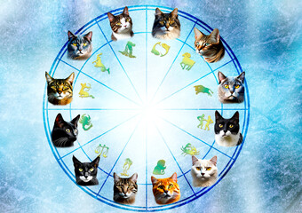 Wall Mural - zodiac signs with illustrations of cats for each sign in horoscope  like astrology concept and background 