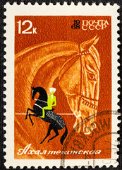 Wall Mural - USSR - CIRCA 1968: A postage stamp printed in the USSR shows a series of images Species racehorses .