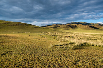 Wall Mural - landscape of the hills