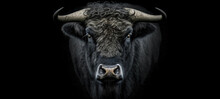 Portrait Of Black Bull On Black Background With Copy Space. Animal Wildlife. Digital Art
