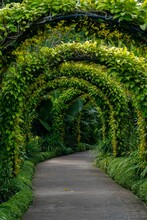Beautiful View Of A Green Tunnel Passage Made Of Overgrown Plants And Leaves In Singapore