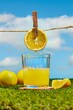 Closeup shot of a glass of squeezed lemon juice on the grass against the sky