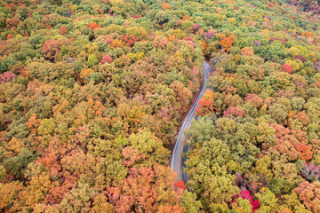 Canvas Print - Aerial view of Fall Foliage colors with winding road in Northwest Arkansas landscape along state highway during Autumn season