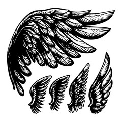 Sticker - hand-drawn vector illustration collection of angel and bird wings sketches