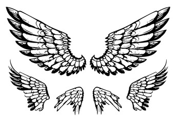 Sticker - hand-drawn vector illustration collection of angel and bird wings sketches