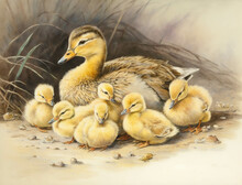 A Mama Duck And Her Seven Ducklings Huddled Together Close Waddling Against The Wind. Lifestyle Concept. AI Generation.