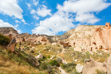 Wall Mural - Rock formations landscape in Cappadocia