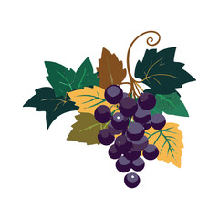 Grape Icon, Grapevine Pictogram, Wine Fruit Symbol, Grape Bunch Vector Illustration