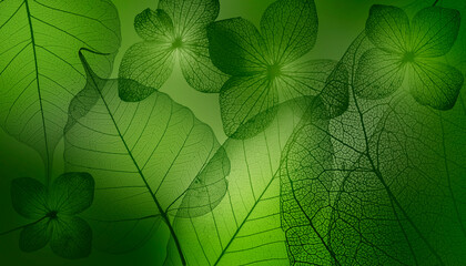 Wall Mural - leaves skeletons with veins and cells macro photograph